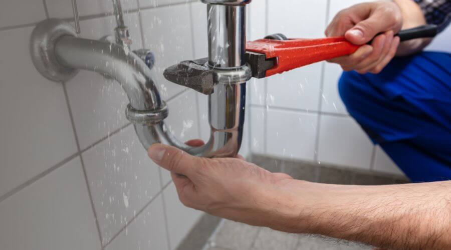 Leak Detection Services in Endicott, WA